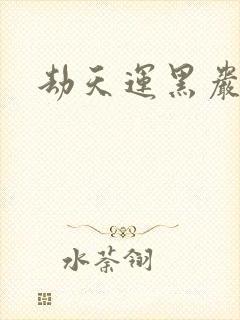 劫天运黑岩