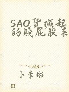 SAO货撅起你的贱屁股来