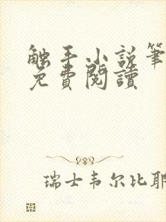 触手小说笔趣阁免费阅读封面