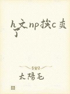 h文np挨c爽了