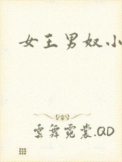 女王男奴小说