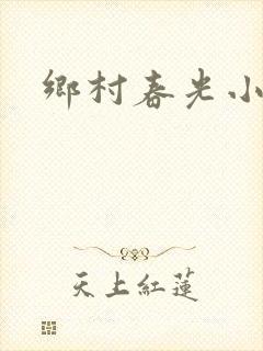 乡村春光小说