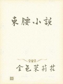 束腰小说