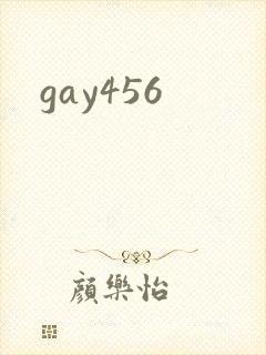 gay456封面