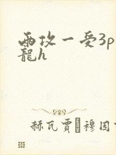 两攻一受3p双龙h