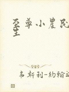 至尊小农民王木生封面