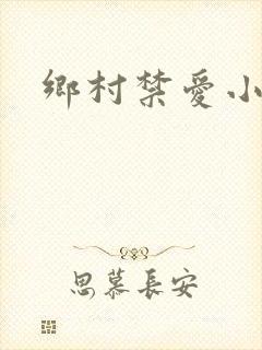 乡村禁爱小说