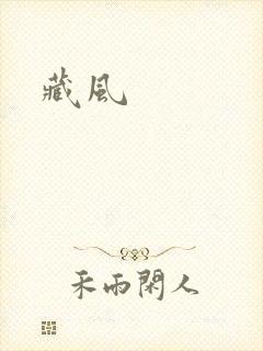 藏风封面