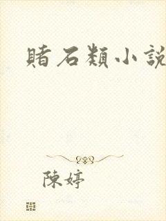 赌石类小说