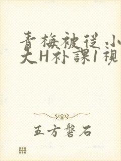 青梅被从小摸到大H补课1视频