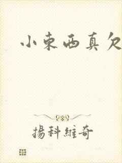 小东西真欠弄