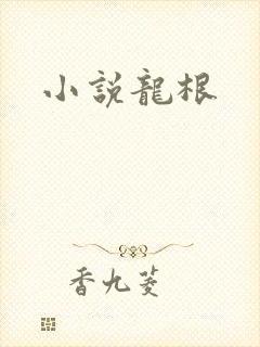 小说龙根封面