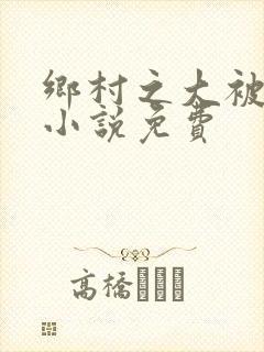 乡村之大被同眠小说免费