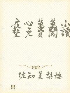 夜心万万小说完整免费阅读全文封面