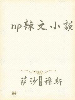 np辣文小说