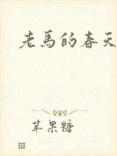老马的春天敏静