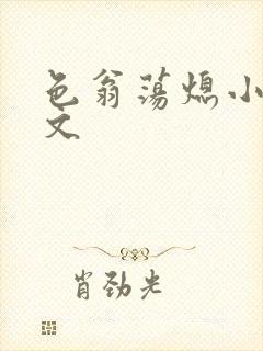色翁荡熄小说全文封面