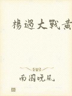 杨过大战黄蓉
