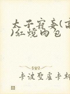 太子宠妾(高肉)红烧肉包封面