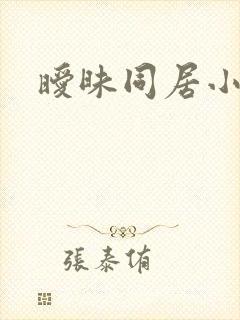 暧昧同居小说封面