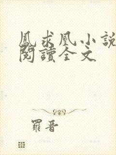 凤求凰小说免费阅读全文封面