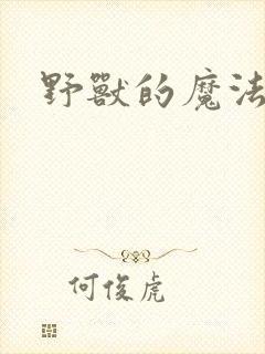 野兽的魔法师