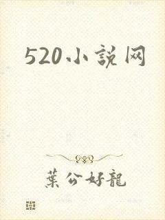 520小说网