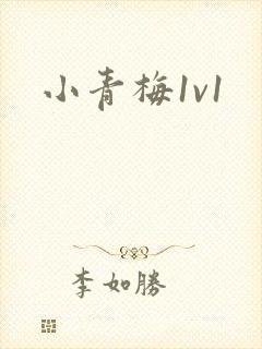 小青梅1v1