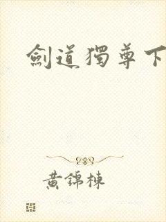 剑道独尊下载