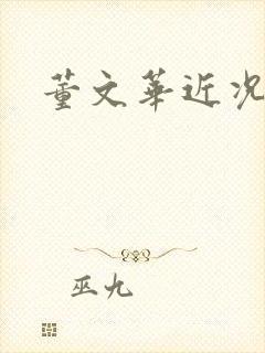 董文华近况