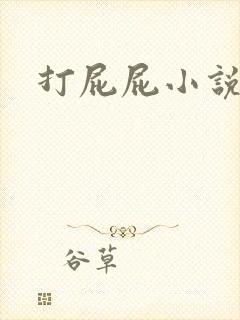 打屁屁小说