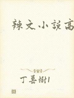 辣文小说高h