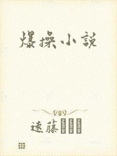 爆操小说
