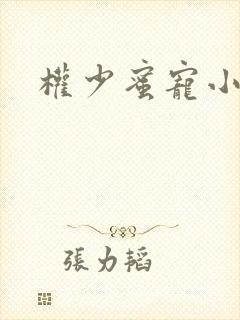 权少蜜宠小娇妻