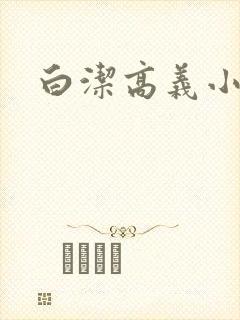 白洁高义小说