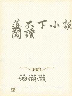 落不下小说免费阅读封面