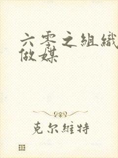 六零之组织给我做媒