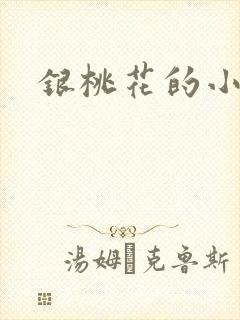 银桃花的小说