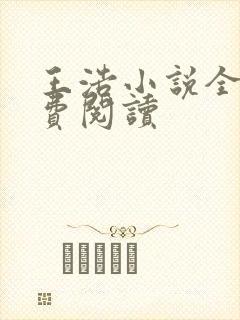 王浩小说全文免费阅读封面