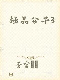 极品公子3封面