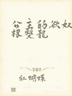 公主的欲奴h四根双龙