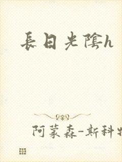 长日光阴h