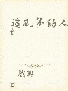 追风筝的人txt