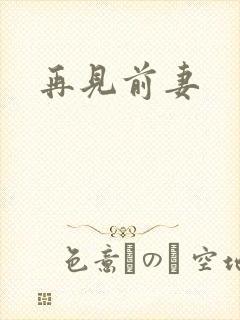 再见前妻