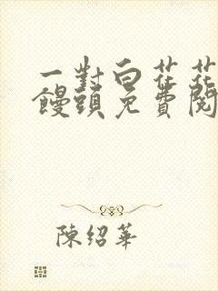 一对白花花的大馒头免费阅读封面