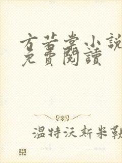 方若棠小说全文免费阅读