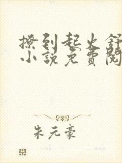撩到起火舒漾的小说免费阅读全文封面