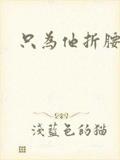 只为他折腰封面
