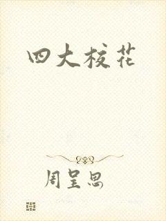 四大校花封面