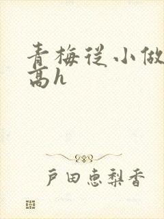 青梅从小做到大高h封面